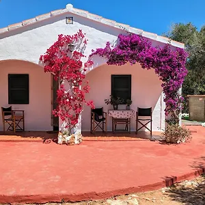 Vinya Alice Ciutadella (Menorca)